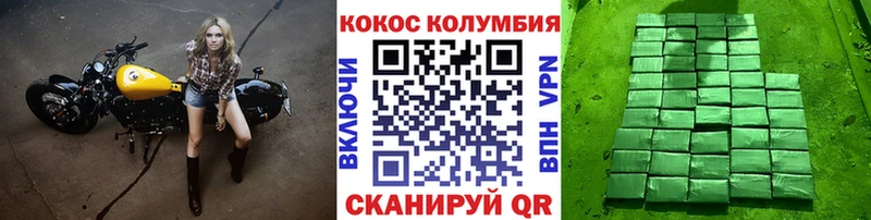 Купить где Злынка COCAIN Эквадор