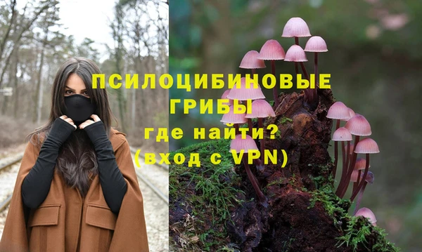 гидра Мегион