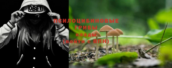 дурь Медвежьегорск
