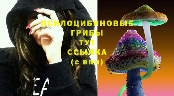 альфа пвп Медногорск