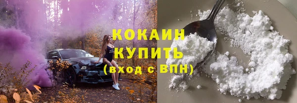 гидра Мегион