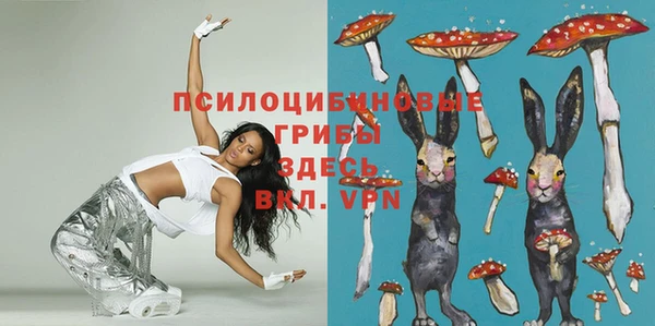 дурь Медвежьегорск