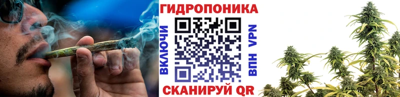 Купить  Злынка  Бошки Шишки LSD WEED 